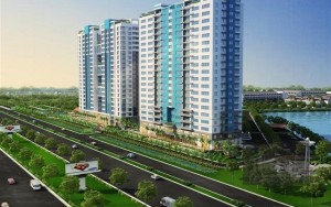Mặt bằng căn hộ Terra Mia